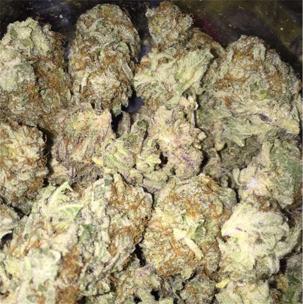 Greenhouse