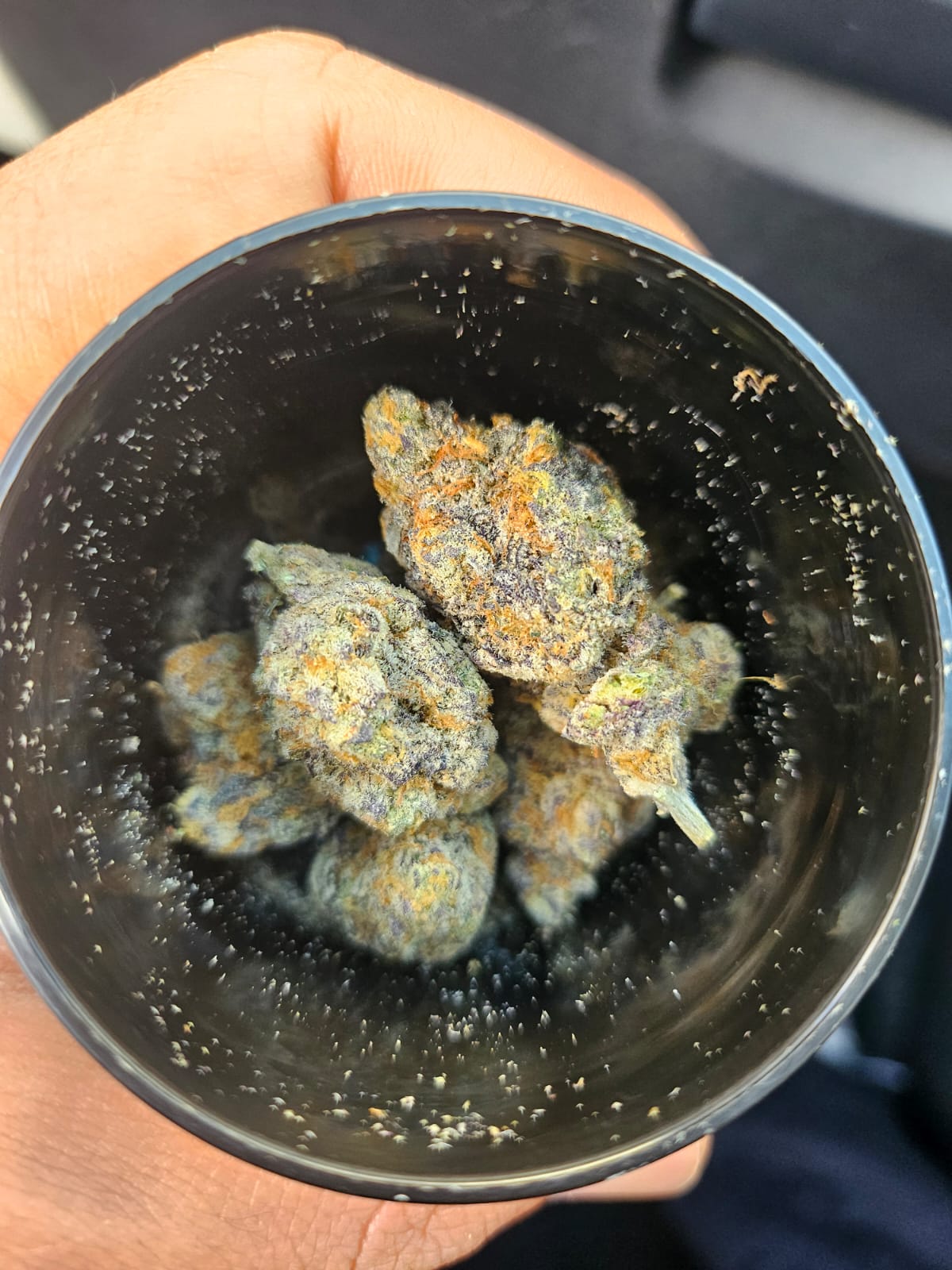 Indoor